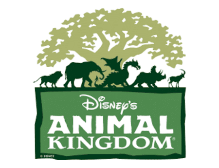 Disney's Animal Kingdom